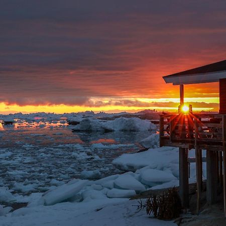 Ilulissat Stay - Jomsborg Ilulissat Room photo